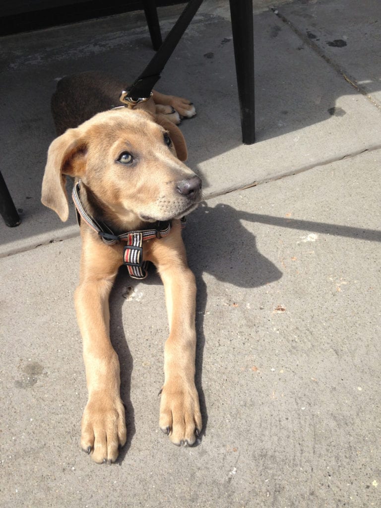 Building Photo - 201 Marin Blvd