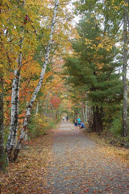 Bike path - 78 County Rd