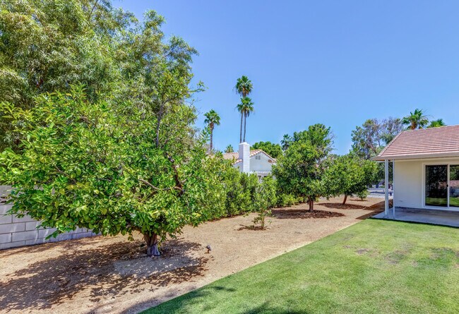 Building Photo - 72896 Tamarisk St