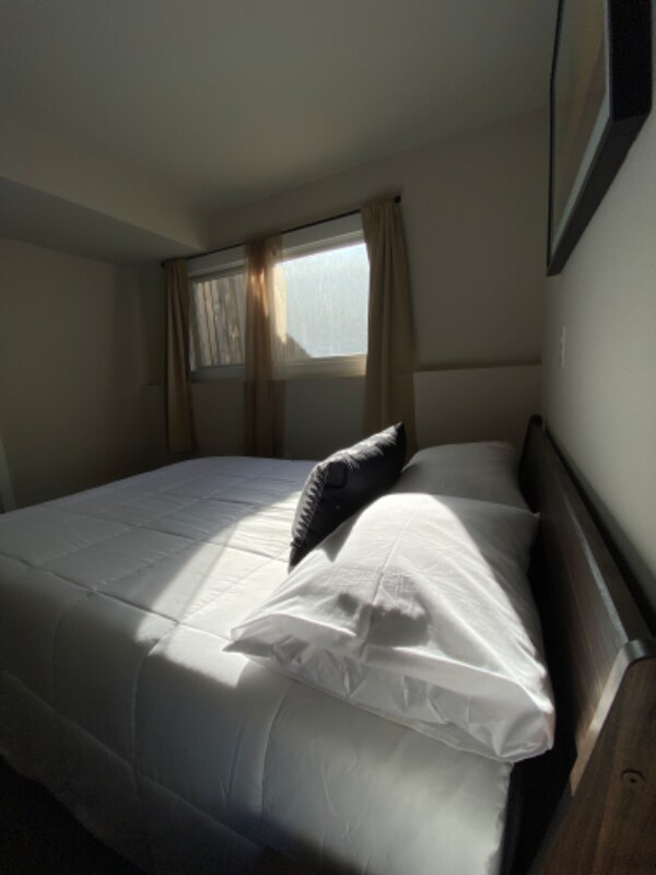 Building Photo - 2431 Sunstone Dr