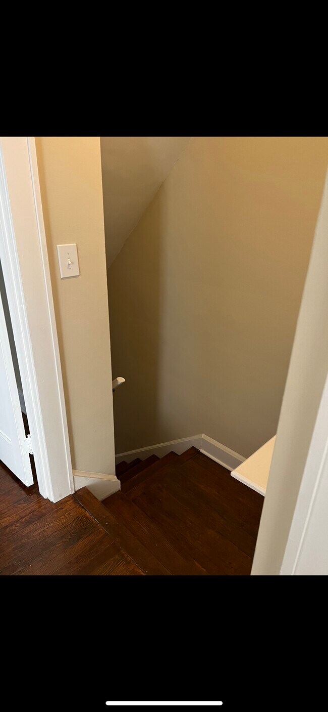 Down the stairs - 703 Clark St