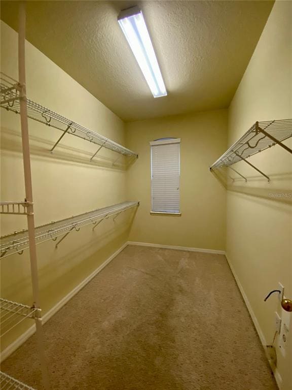 Building Photo - 6610 Portland Oak Ct