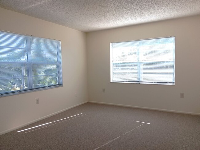 Building Photo - Sunny suite is SWEET in north St Pete - 2/...