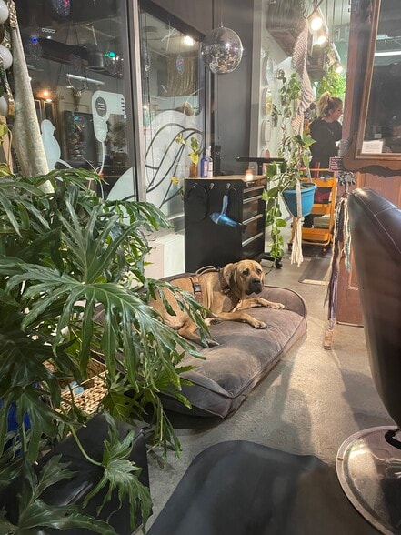 Building Photo - 1833 N Williams St