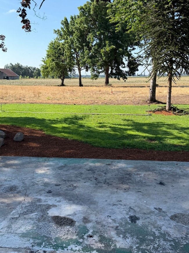 Building Photo - Rural site on 2 acres