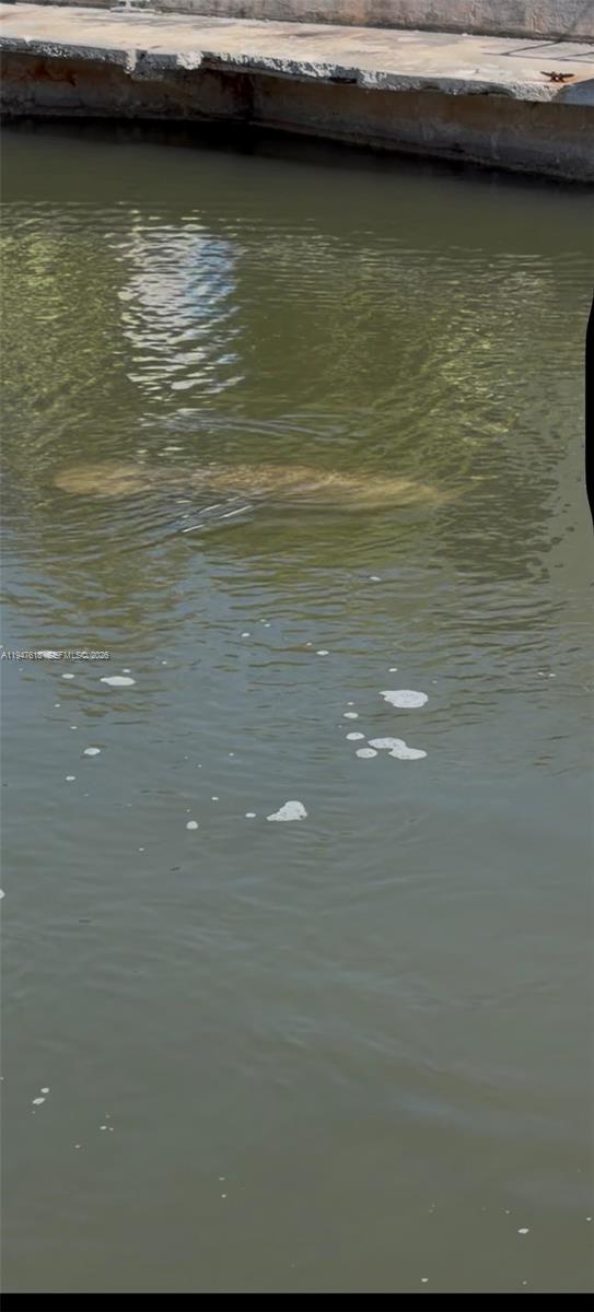 Building Photo - 11 Flamingo Rd