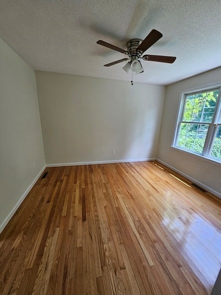 Building Photo - 61 Lawe St
