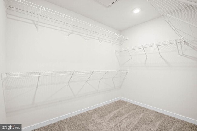 Building Photo - 6232 Folly Ln