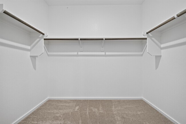 Building Photo - 24657 Monarch Forest Dr