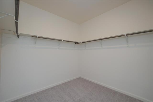 Building Photo - 713 Cedar Elm Dr