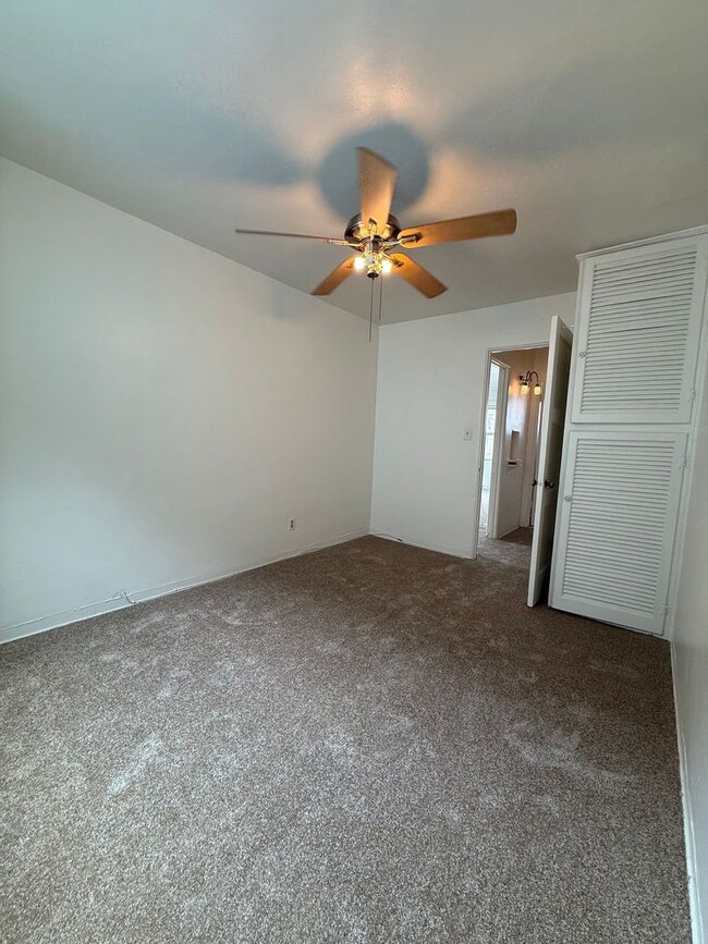 Building Photo - Mission Beach 1 Bedroom