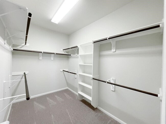 Building Photo - 24946 Via Arabella Ln
