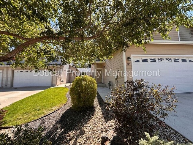 Primary Photo - 825 Cassidy Ct