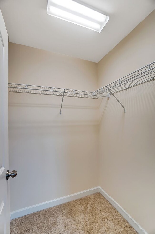 Building Photo - 3 Bedroom Townhome in Steele Creek!