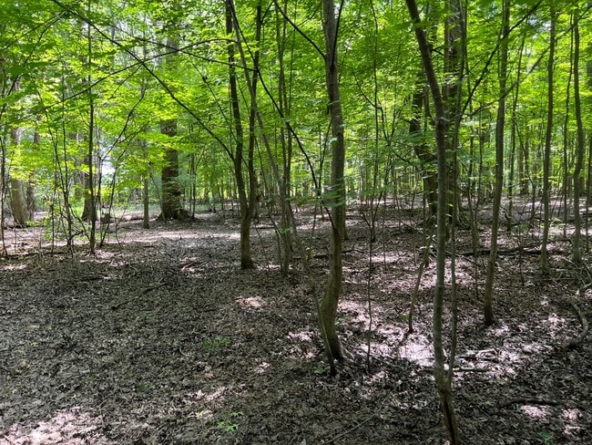 Building Photo - Private Country Oasis Minutes from Southbe...