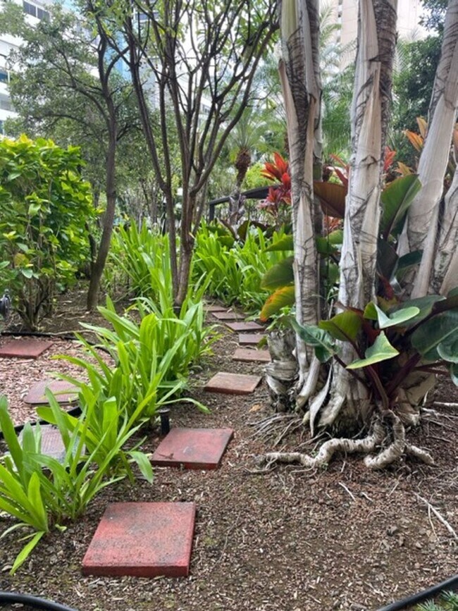 Building Photo - Available on 8/1/25, 600 sqft, 1 Bedroom, ...