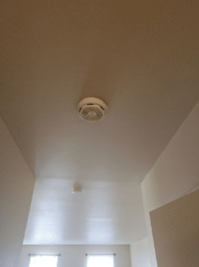 Building Photo - 442 S 18th St