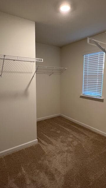 Building Photo - 3305 Serenity Dr NE