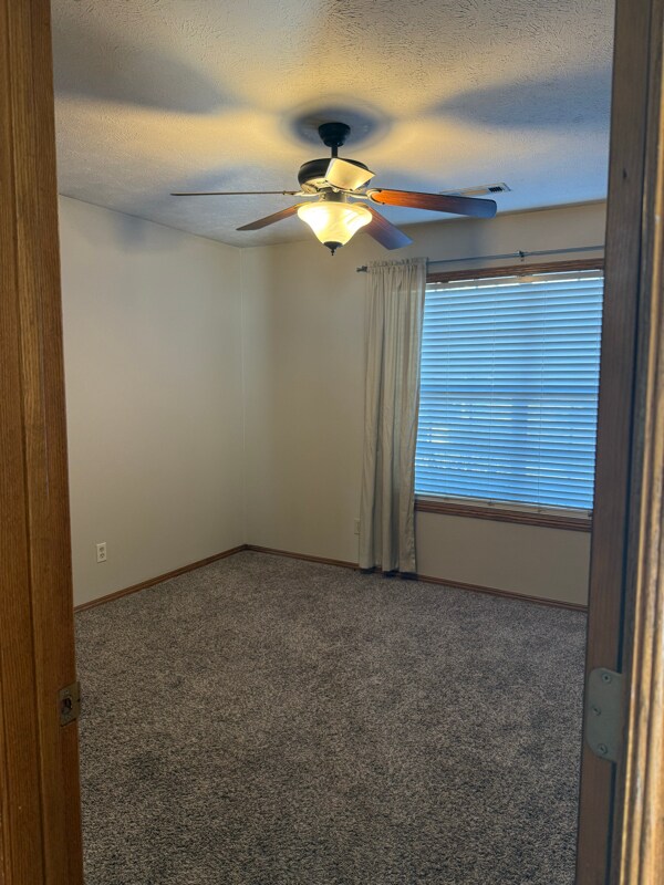 Building Photo - 653 Walnut Ridge St