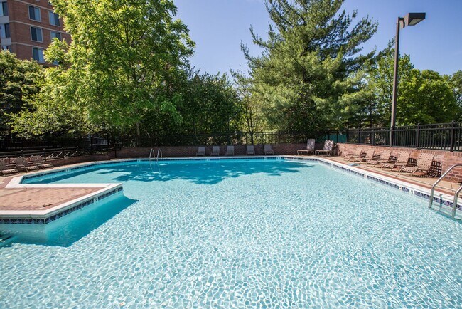 Building Photo - Fantastic Penthouse in Downtown Bethesda w...