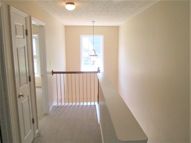 Building Photo - 200 Springs Crossing