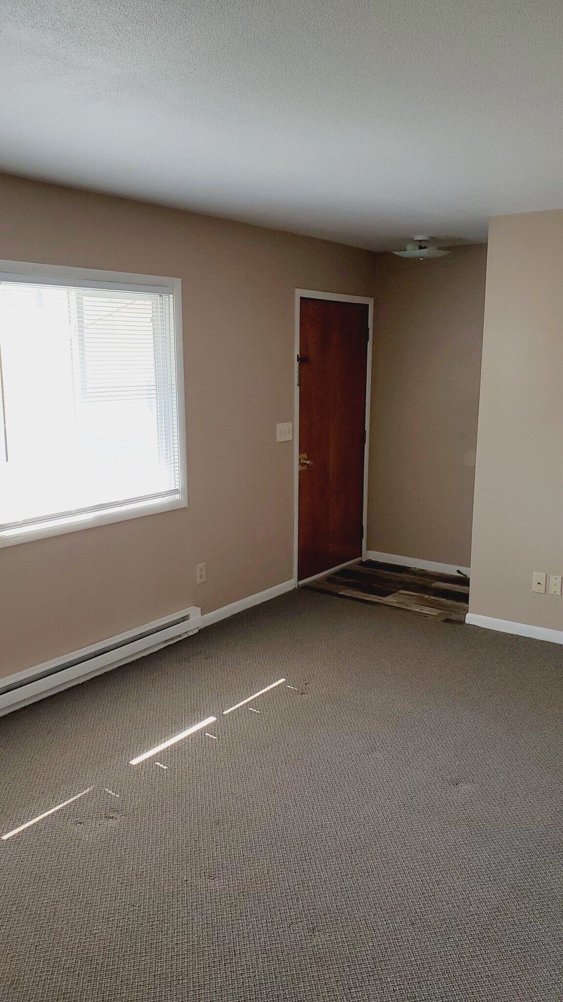 Entrance/Living Room - 519 N Patsy St