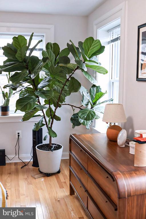 Building Photo - 1734 Bolton St