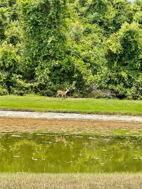 Building Photo - 9249 Edistro Pl