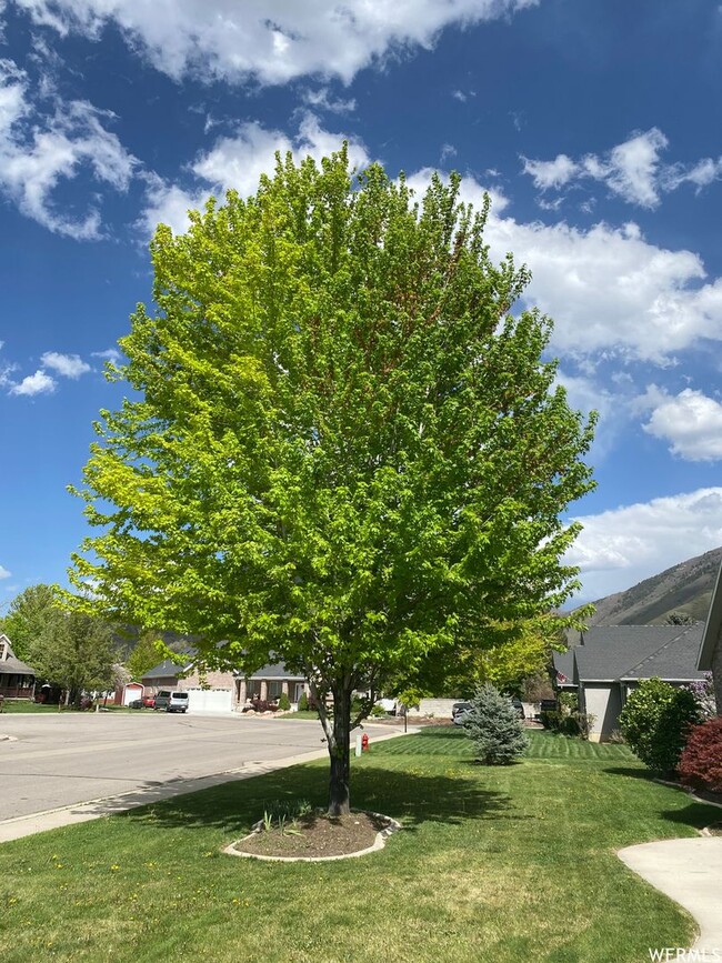 Building Photo - Gorgeous Mapleton Home For Rent!