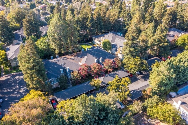 Building Photo - 2702 Somerset Park Cir