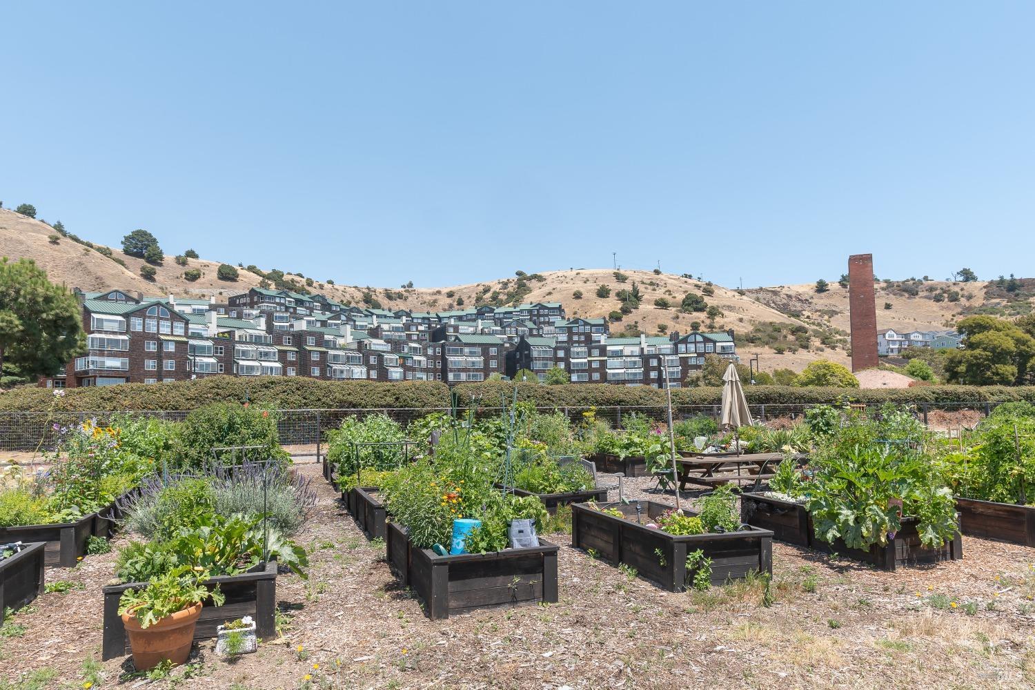 community garden - 1201 Brickyard Way