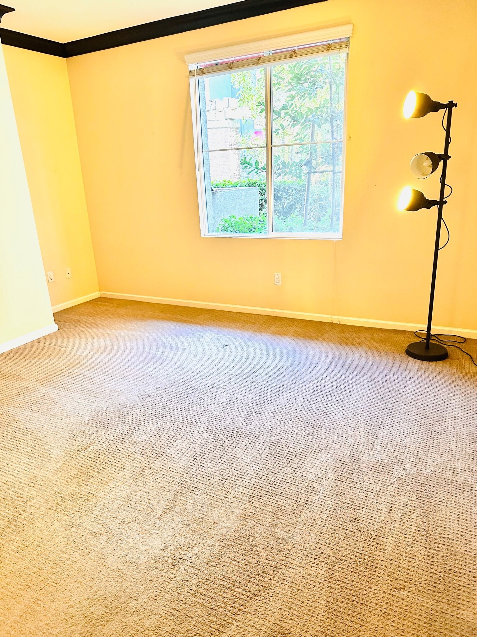 Building Photo - 1801 E Katella Ave