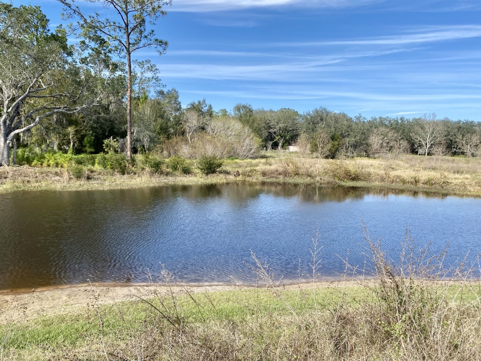 Building Photo - 33367 Apricot Tree Ct