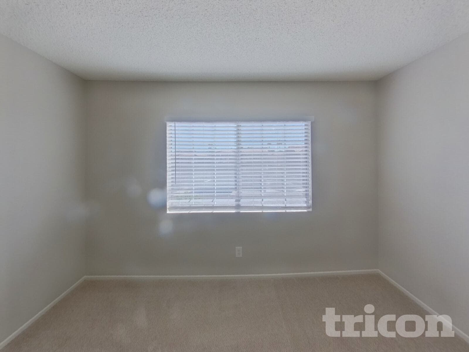 Building Photo - 1446 Lodgepole Dr