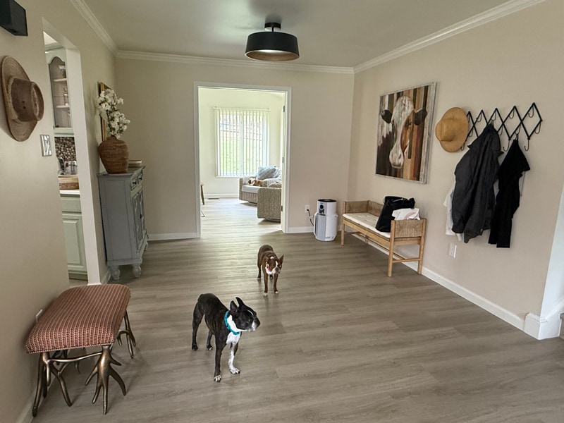 Building Photo - 509 Dogwood Ct