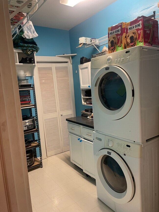 Laundry Room - 1803 Courtland Ave