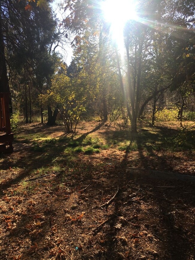Building Photo - Paradise Cozy 2 bed one bath off of upper ...