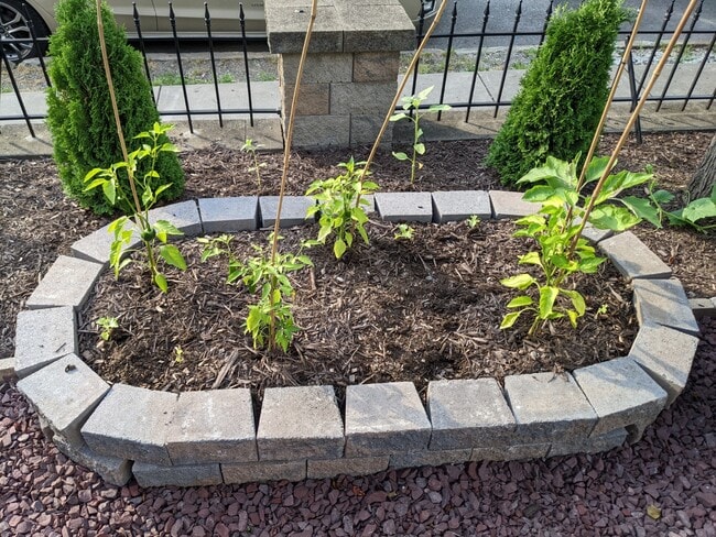 Building Photo - 5832 Pierce St