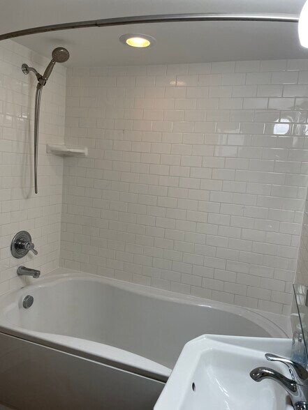 Lower Level Bathroom - 1010 S Forest Ave