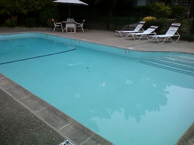 Pool - 2129 Ascot Dr