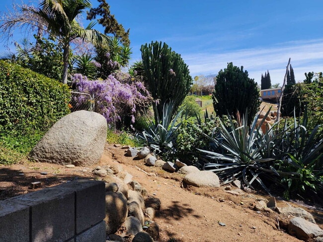 Building Photo - Updated 1BR/1BA apartment