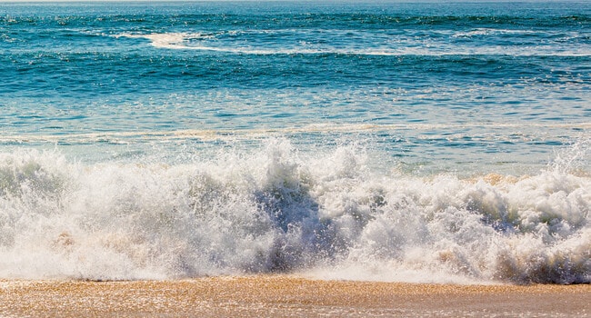 Building Photo - 79 Surf Dr