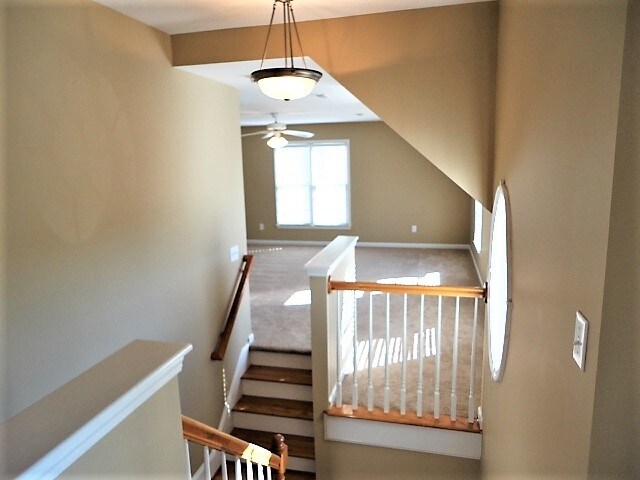 Building Photo - 905 Alba Rose Ln
