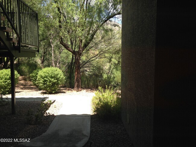 Building Photo - 5751 N Kolb Rd