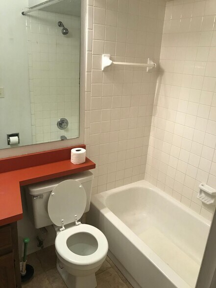 Full guest bathroom. - 197 Sugarwood Ln