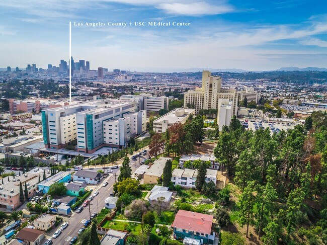 Building Photo - Bright & Spacious 1BR Retreat Near Keck Medical Center | Private Garage + Garden Space