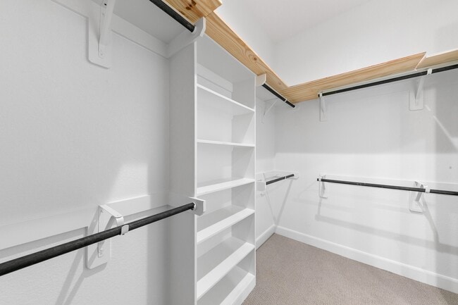 Building Photo - 4209 Colony Pines Ln