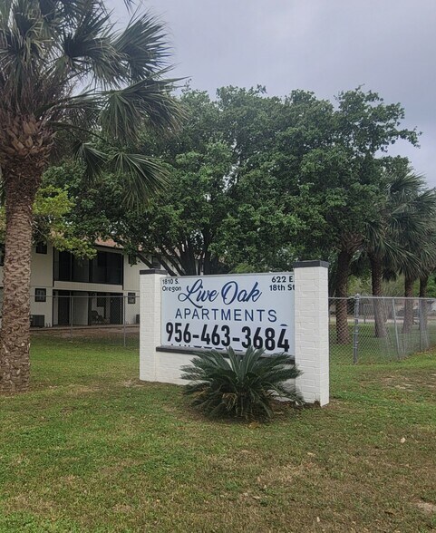 Primary Photo - Live Oak Apartments