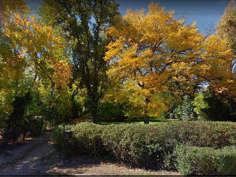 Lots of trees - 555 Saulsbury St