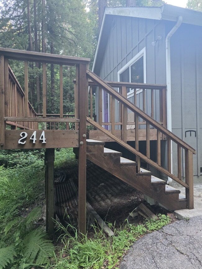 Building Photo - Charming Private Cottage in the Redwoods